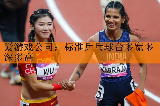 爱游戏公司：标准乒乓球台多宽多深多高