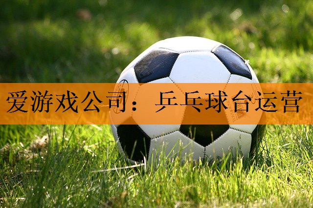 爱游戏公司：乒乓球台运营