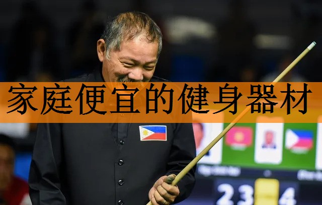家庭便宜的健身器材