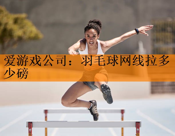 爱游戏公司：羽毛球网线拉多少磅