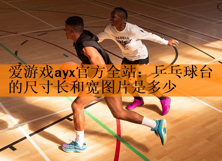 爱游戏ayx官方全站：乒乓球台的尺寸长和宽图片是多少