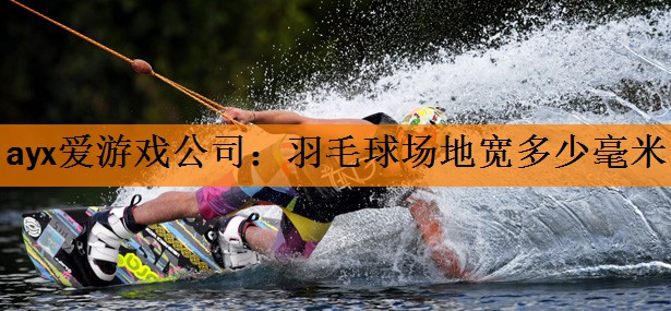 ayx爱游戏公司：羽毛球场地宽多少毫米