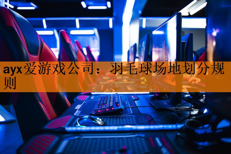 <strong>ayx爱游戏公司：羽毛球场地划分规则</strong>