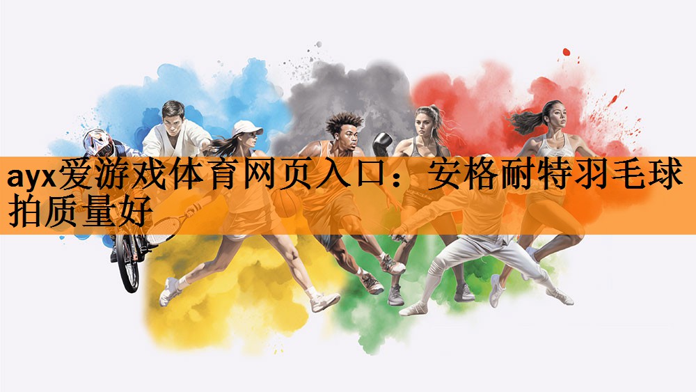 安格耐特羽毛球拍质量好