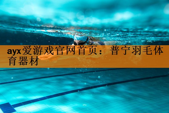 普宁羽毛体育器材