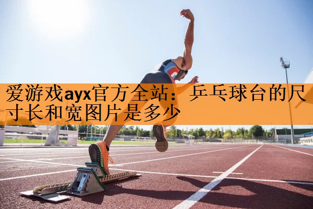 乒乓球台的尺寸长和宽图片是多少