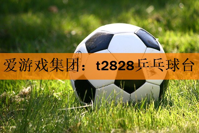 t2828乒乓球台