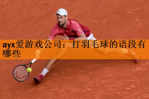 打羽毛球的语段有哪些