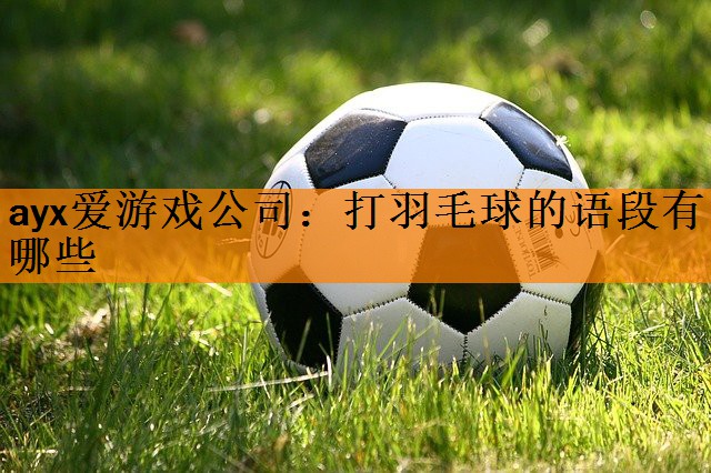打羽毛球的语段有哪些