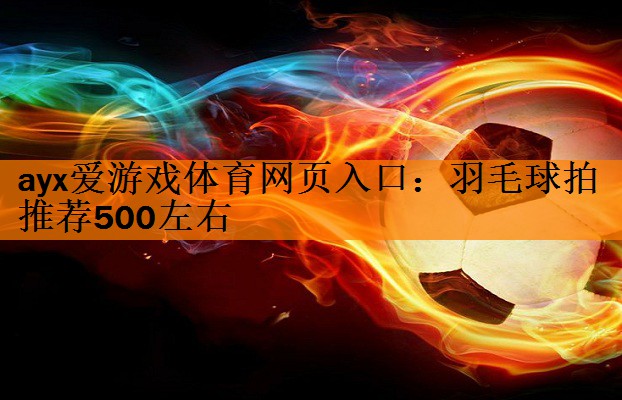 羽毛球拍推荐500左右